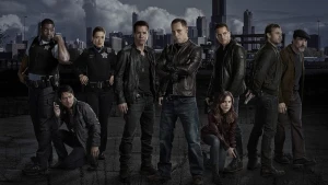 Cảnh Sát Chicago (Phần 2) - Chicago P.D. (Season 2)