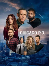 Cảnh Sát Chicago (Phần 8)