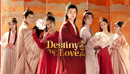 Gả Nhầm Thế Tử Phi Destiny of Love