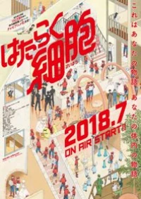 Hataraku Saibou - Cells at Work