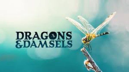 Loài Chuồn Chuồn Dragons and Damsels