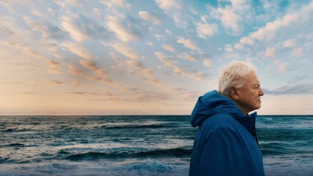 Ocean with David Attenborough Ocean with David Attenborough