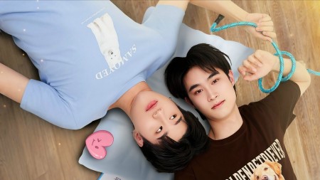 Phải Lòng Cún Con DogBro