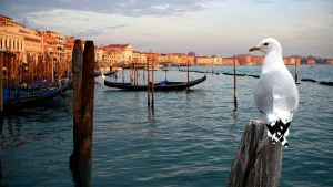 Thiên Nhiên Hoang Dã Venice - Wild Venice